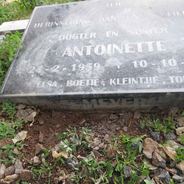 MEYER Antoinette 1959-1998