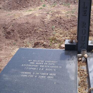 ROUX Anthonie Berndardus, le 1928-1995