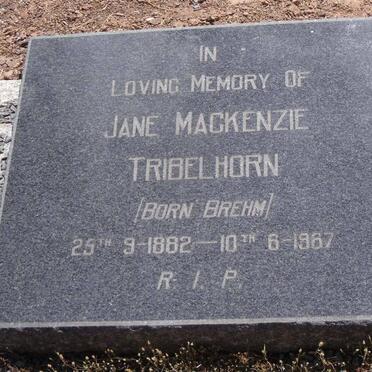 TRIBELHORN Jane Mackenzie nee BREHM 1882-1967