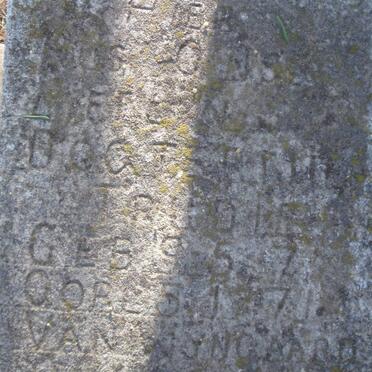 WYNGAARD Trudie, van 197?-1971