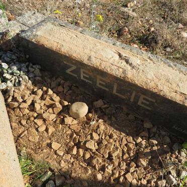 Z - Vanne :: Surnames - Z