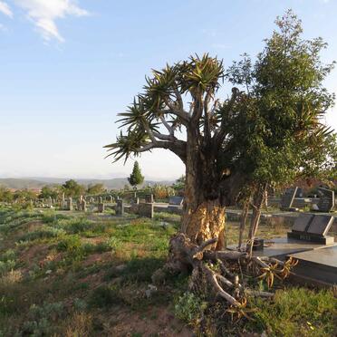 8. Overview / Oorsig