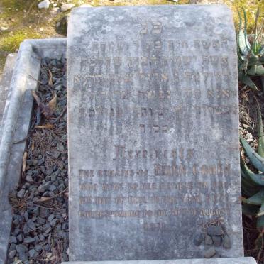 COHEN Ellen  -1911