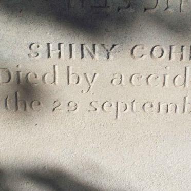 COHEN Shiny   -1905