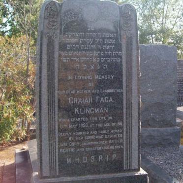 KLINGMAN Chaiah Faca  -1950