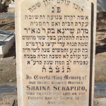 SCHAPIRO Shaina -5671