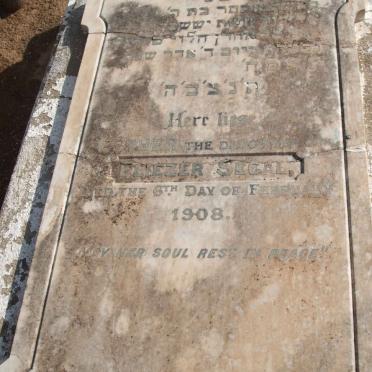 SEGAL Eliezer -1908
