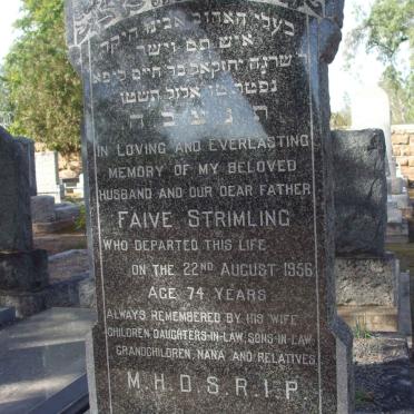 STRIMLING Faive  -1956 