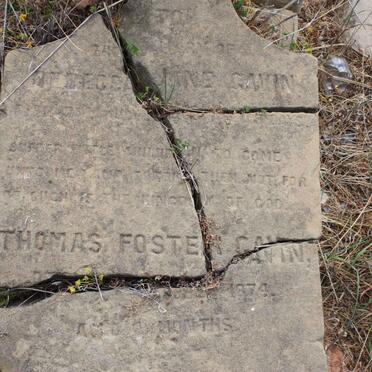 GAVIN Thomas Foster GAVIN -1874 :: GAVIN Rebecca Jane