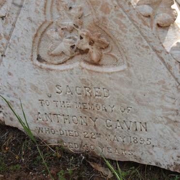 GAVIN Anthony -1895