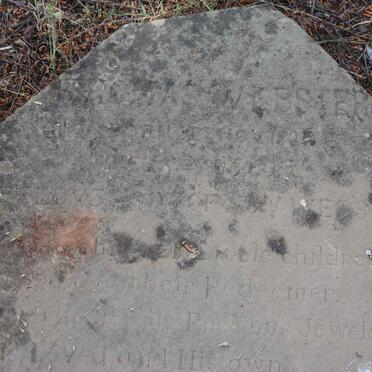 WEBSTER Thomas -189?