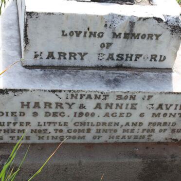 GAVIN Harry Bashford -1900