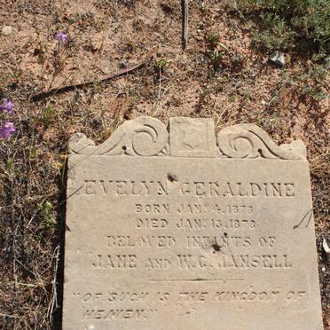 HANSELL Evelyn Geraldine 1878-1878