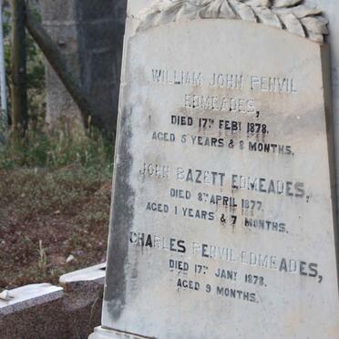 EDMEADES William John Penvil  1872-1878 :: EDMEADES John Bazett 1875-1877 :: EDMEADES Charles Penvil 1877-1878