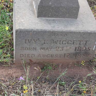 WIGGETT Ivy E. 1895-1895 