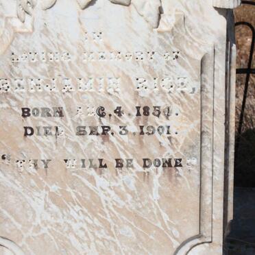 RICE Benjamin 1854-1901