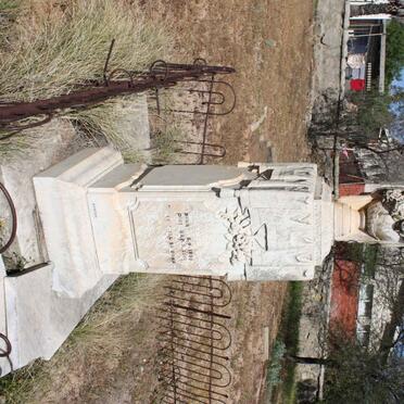 RICE Benjamin 1854-1901