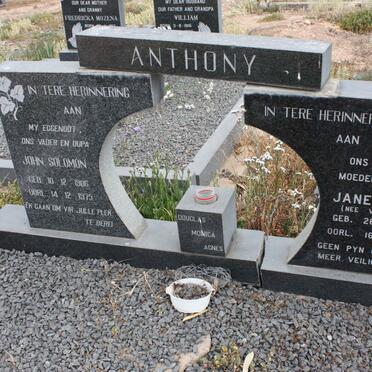 ANTHONY John Solomon 1906-1975 &amp; Jane Eliza VITELINGUM 1915-1984