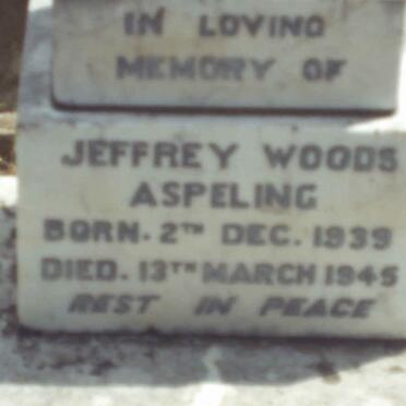 ASPELING Jeffrey Woods 1939-1945