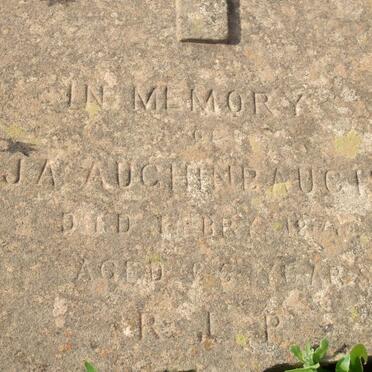 AUGHINBAUGH J A.  -18??