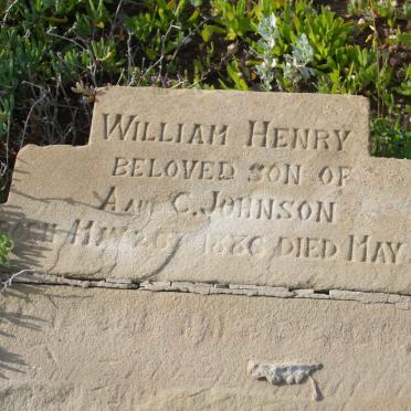 JOHNSON William Henry 1880-188?