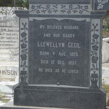 JOHNSON Frank Bertram 1918-1958 :: JOHNSON Llewellyn Cecil 1925-1957