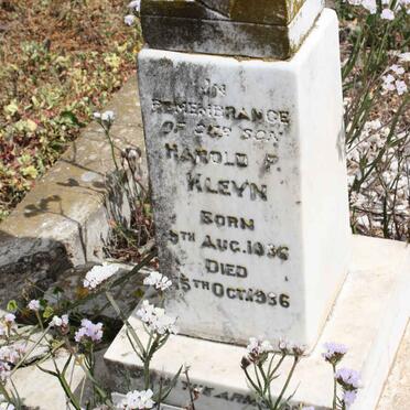 KLEYN Harold P. 1936-1936