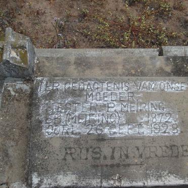 MEIRING Hester P. nee MEIRING 1872-1928
