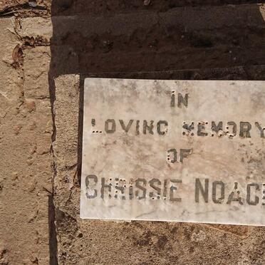 NOACH Chrissie