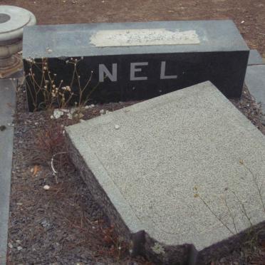 NEL ?