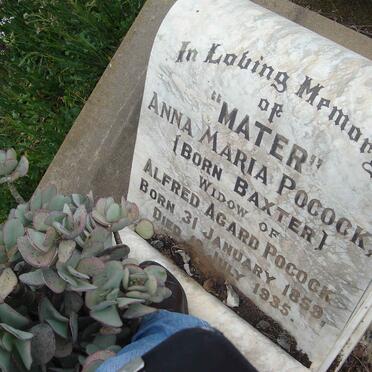 P - Vanne :: Surnames - P