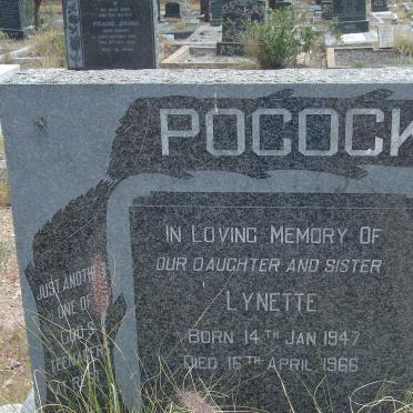 POCOCK Lynette 1947-1966