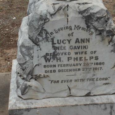 PHELPS Lucy Ann nee GAVIN 1886-1917
