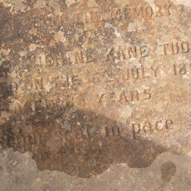 TUDOR Anne Catherine Kane -1898