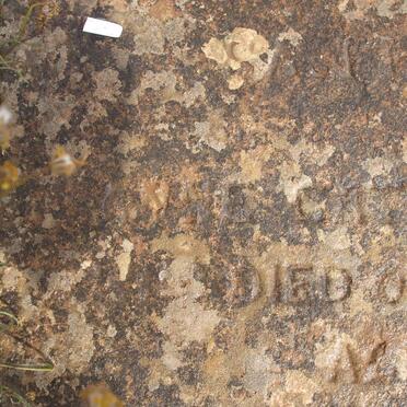 TUDOR Anne Catherine Kane -1898