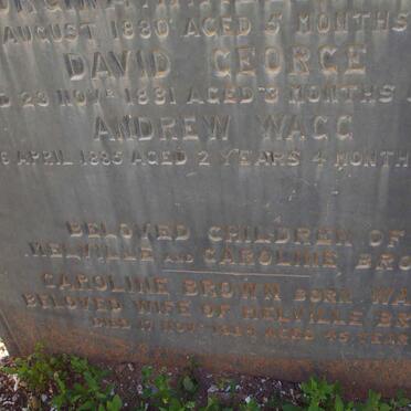 BROWN Caroline nee WAGG -1884 :: BROWN Thomas -1869 