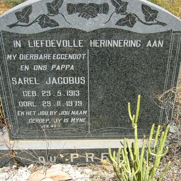 Western Cape, OUDTSHOORN district, Kamanassievallei, Hotoms Kloof 136_2, Weltevrede, farm cemetery