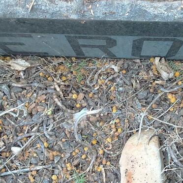 ROUX Andries Johannes, le 1881-1967 &amp; Helena Petronella DU PLESSIS 1886-1965