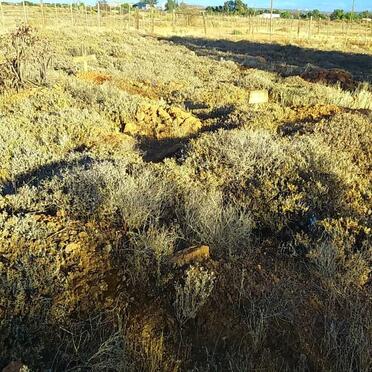 4. Overview / Oorsig