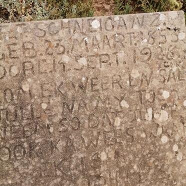 SCHNEIGANZ F.T. 1853-1928 &amp; Helena S.A. OLIVIER 1858-1939