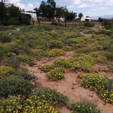 4. Overview / Oorsig