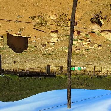 2. Overview / Oorsig