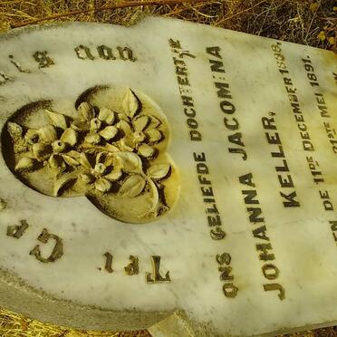 Western Cape, OUDTSHOORN district, Stolsvlakte 140_2, farm cemetery