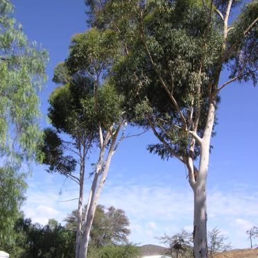 2. Overview