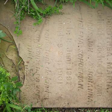 SCHOEMAN Dorothea Maria 1897-1901