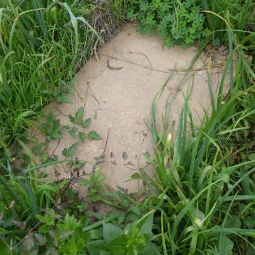 ? Unmarked Graves