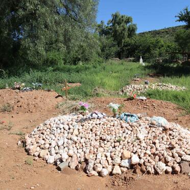 3. Overview / Oorsig