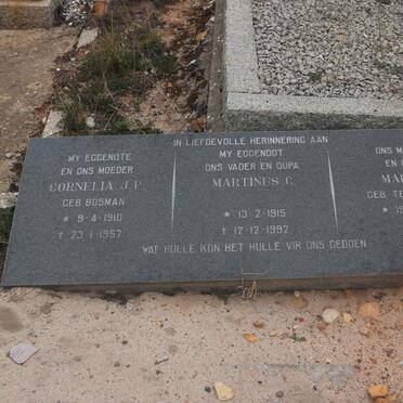 ELLIS Martinus C. 1915-1992 &amp; Cornelia J.P. BOSMAN 1910-1957 :: ELLIS Maria C. nee TERBLANCHE 1935-