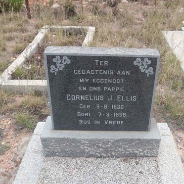 Western Cape, OUDTSHOORN district, Moeras Rivier 209_1, farm cemetery