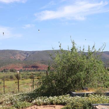 1. Overview / Oorsig